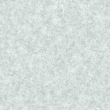 36207-6 Styleguide Colours 2024 Wallpaper by A S Creation