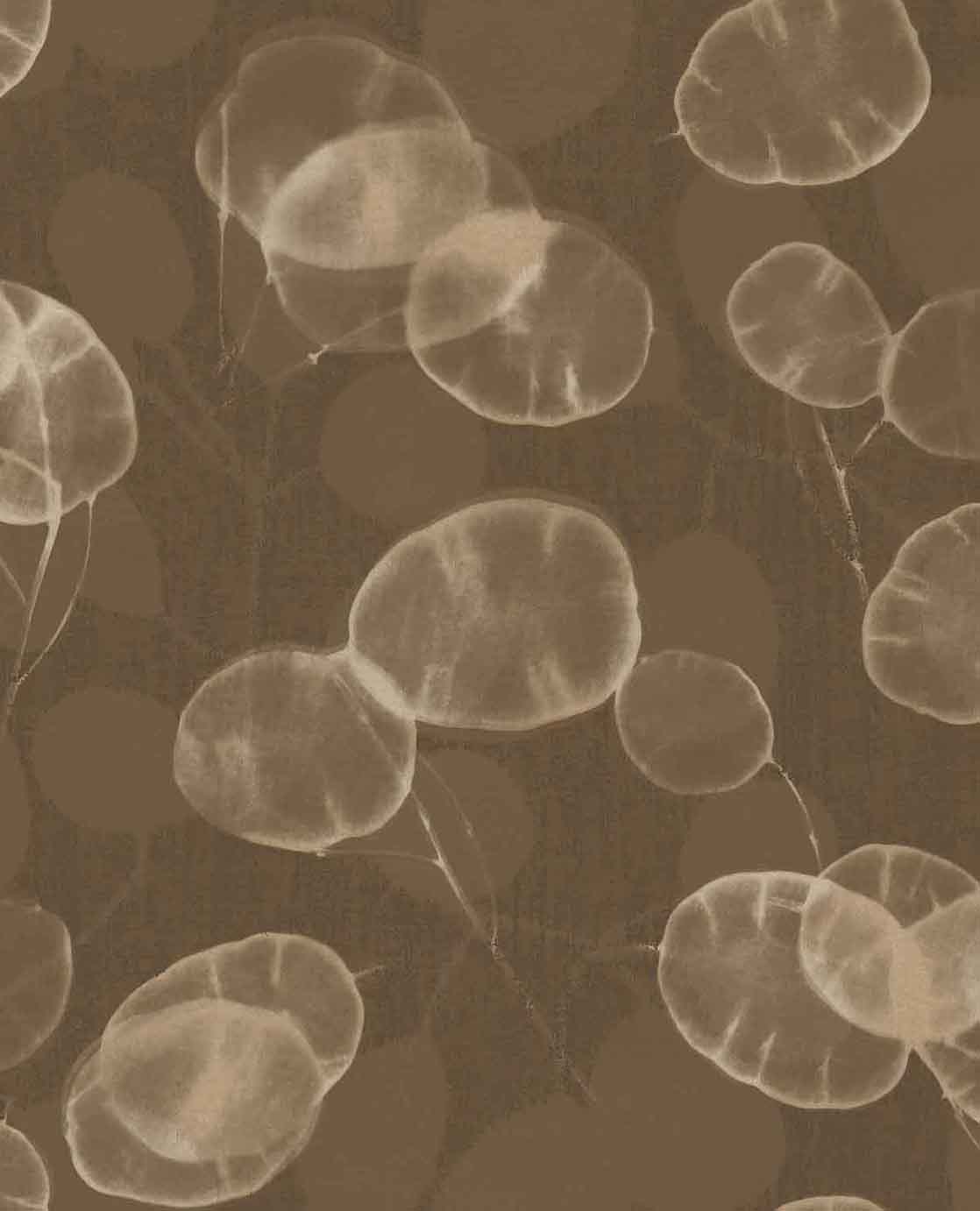 Roots 363333 Wallpaper by Eijffinger