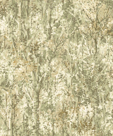 36361 Verdant Sage Wallpaper by Holden Decor