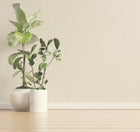 36411 Tessuto Plain Dove Opus Wallpaper By Holden Decor