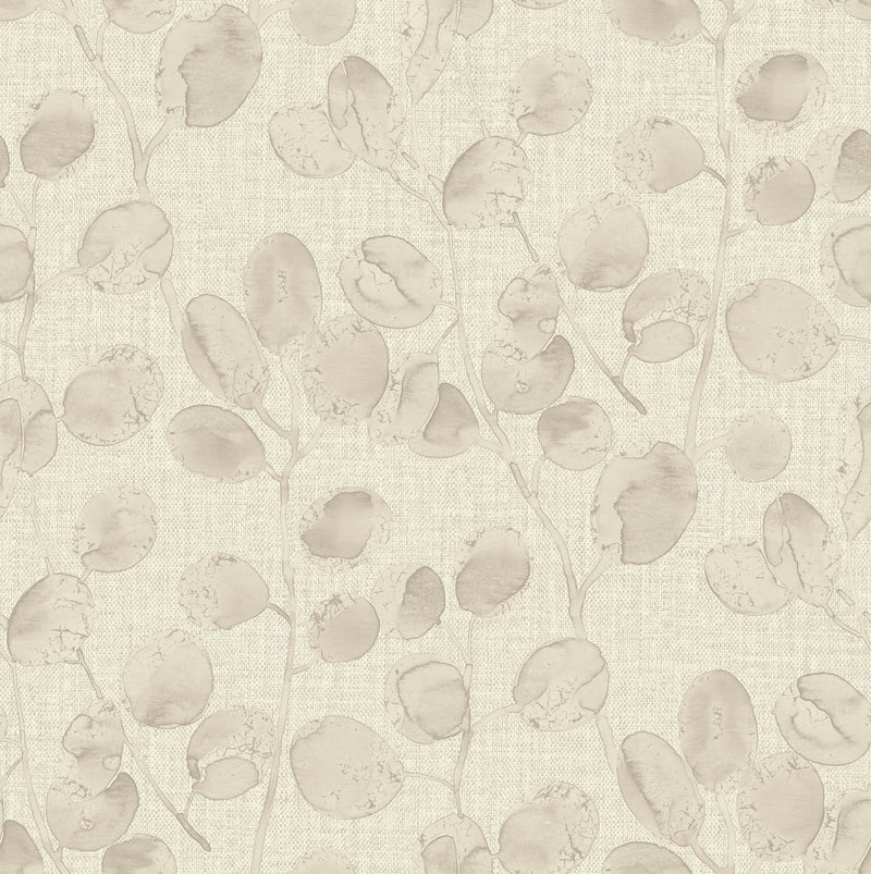 36418 Eucalypto Beige Dove Opus Wallpaper By Holden Decor