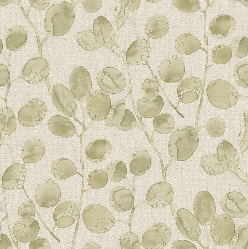 36419 Eucalypto Sage Opus Wallpaper By Holden Decor