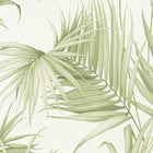 365051 Jungle Michalsky - Dream Again Wallpaper by AS Creation