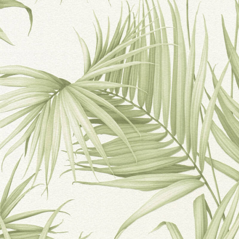 365051 Jungle Michalsky - Dream Again Wallpaper by AS Creation