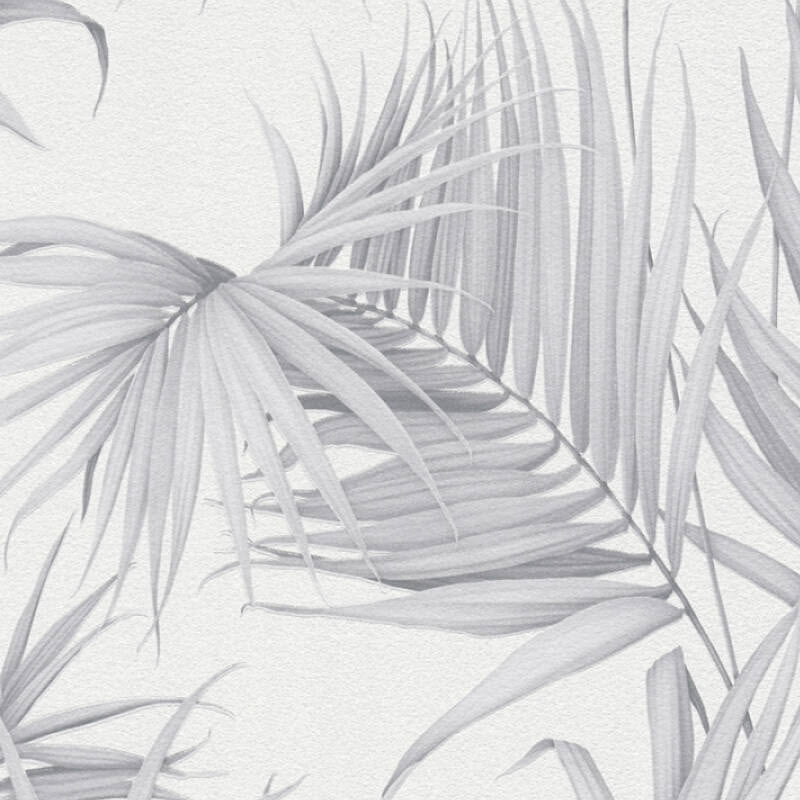 365054 Jungle Michalsky - Dream Again Wallpaper by AS Creation