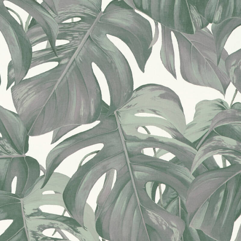 365191 Jungle Michalsky - Dream Again Wallpaper by AS Creation