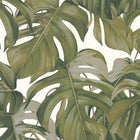 365192 Jungle Michalsky - Dream Again Wallpaper by AS Creation