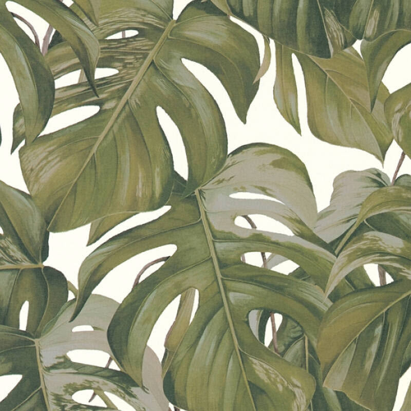 365192 Jungle Michalsky - Dream Again Wallpaper by AS Creation