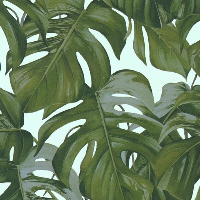 365193 Jungle Michalsky - Dream Again Wallpaper by AS Creation