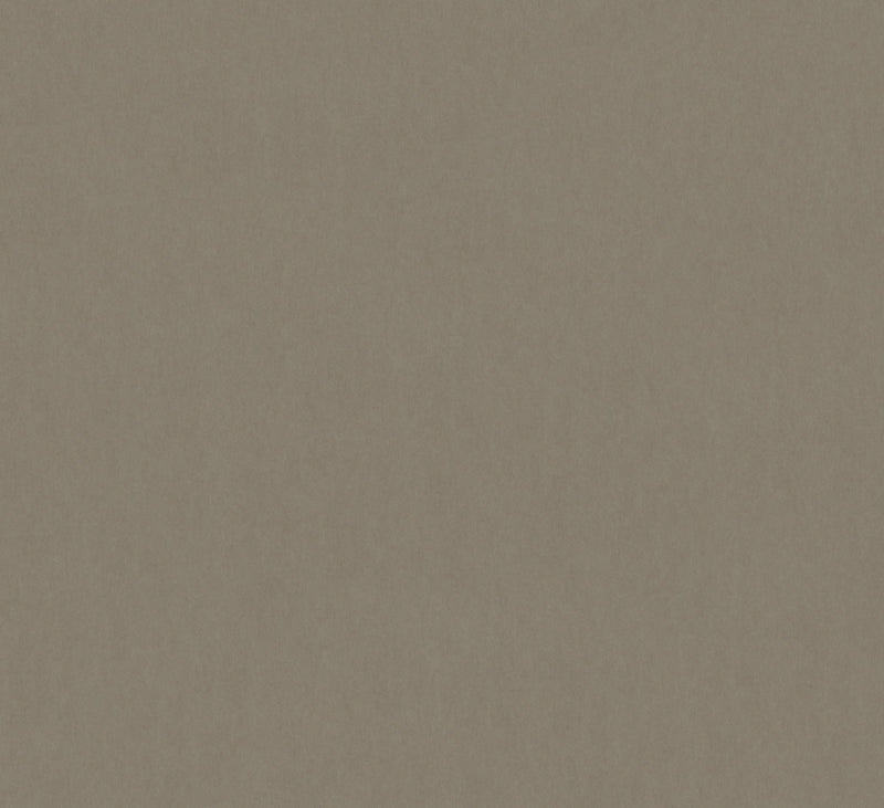 Silk Plain Beige Craft Wallpaper by Galerie | 36609