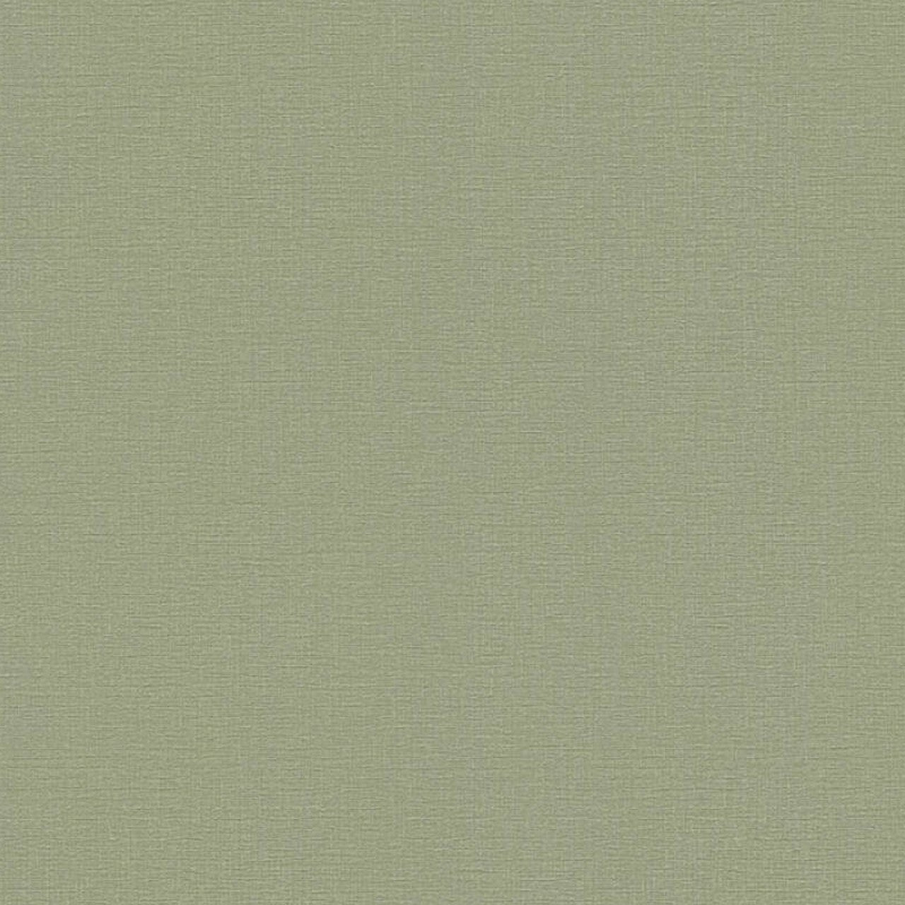 36713-7 Styleguide Colours 2024 Wallpaper by A S Creation