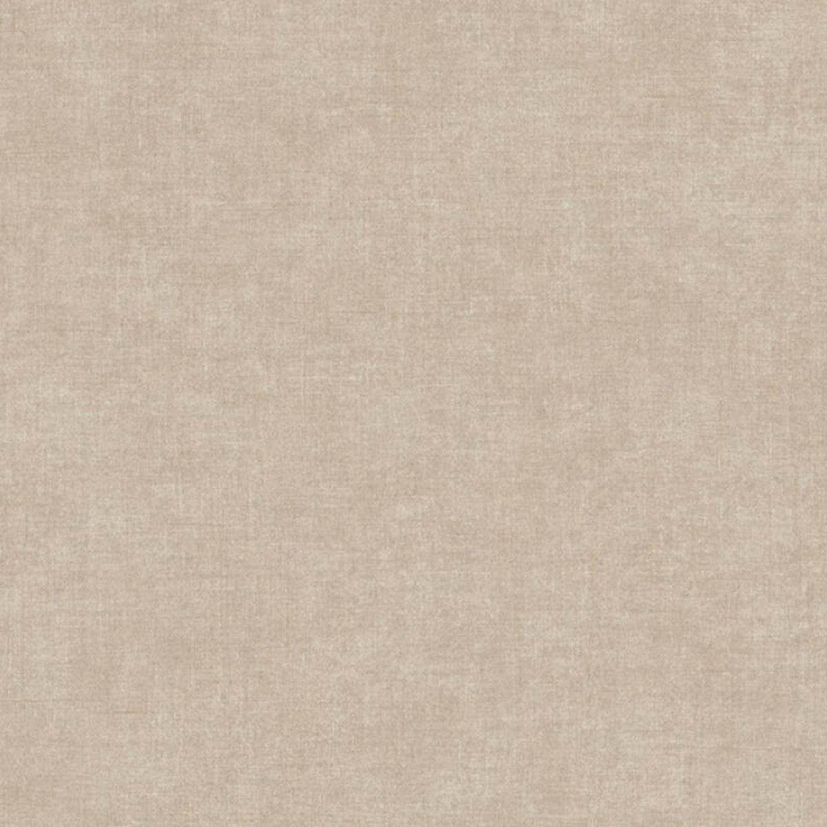 36721-5 Styleguide Colours 2024 Wallpaper by A S Creation