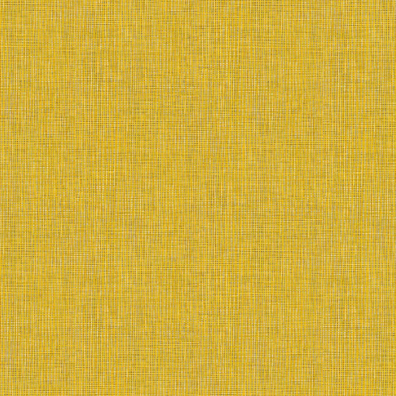 36976-2 Styleguide Colours 2024 Wallpaper by A S Creation