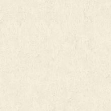 37228-4 Styleguide Colours 2024 Wallpaper by A S Creation