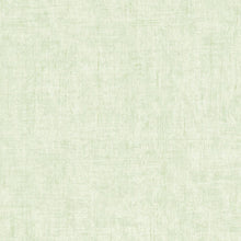 37334-2 Styleguide Colours 2024 Wallpaper by A S Creation