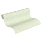 37334-2 Styleguide Colours 2024 Wallpaper by A S Creation