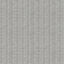 37393-2 ( 373932 ) New Walls Wallpaper By A S Creation