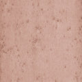 Stellar Lush Wallpaper by Arte