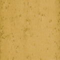 Stellar Lush Wallpaper by Arte