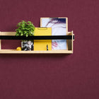 37536-2 Styleguide Colours 2024 Wallpaper by A S Creation