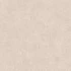 37655-2 Styleguide Colours 2024 Wallpaper by A S Creation