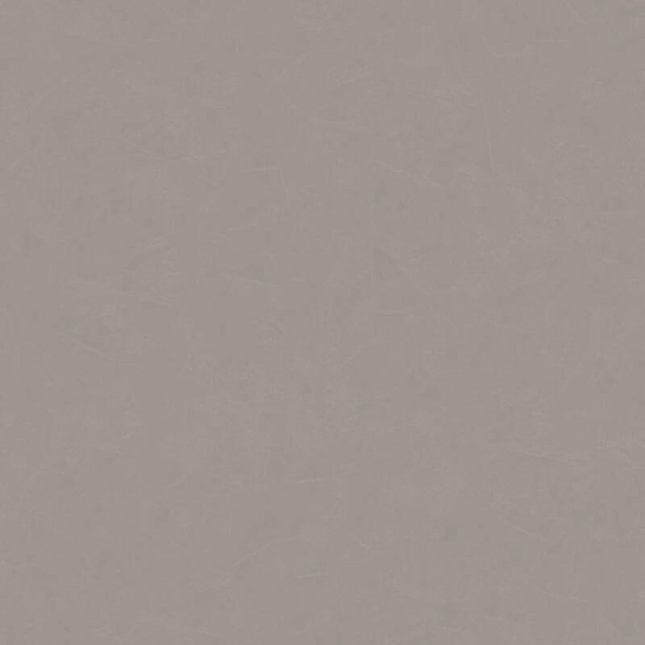 37696-1 Styleguide Colours 2024 Wallpaper by A S Creation