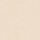 37865-1 Styleguide Colours 2024 Wallpaper by A S Creation
