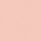 37975-7 Styleguide Colours 2024 Wallpaper by A S Creation