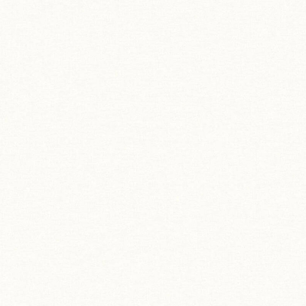 37986-2 Styleguide Colours 2024 Wallpaper by A S Creation