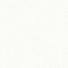 37986-5 Styleguide Colours 2024 Wallpaper by A S Creation