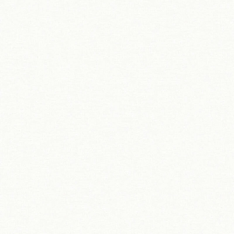 37986-5 Styleguide Colours 2024 Wallpaper by A S Creation