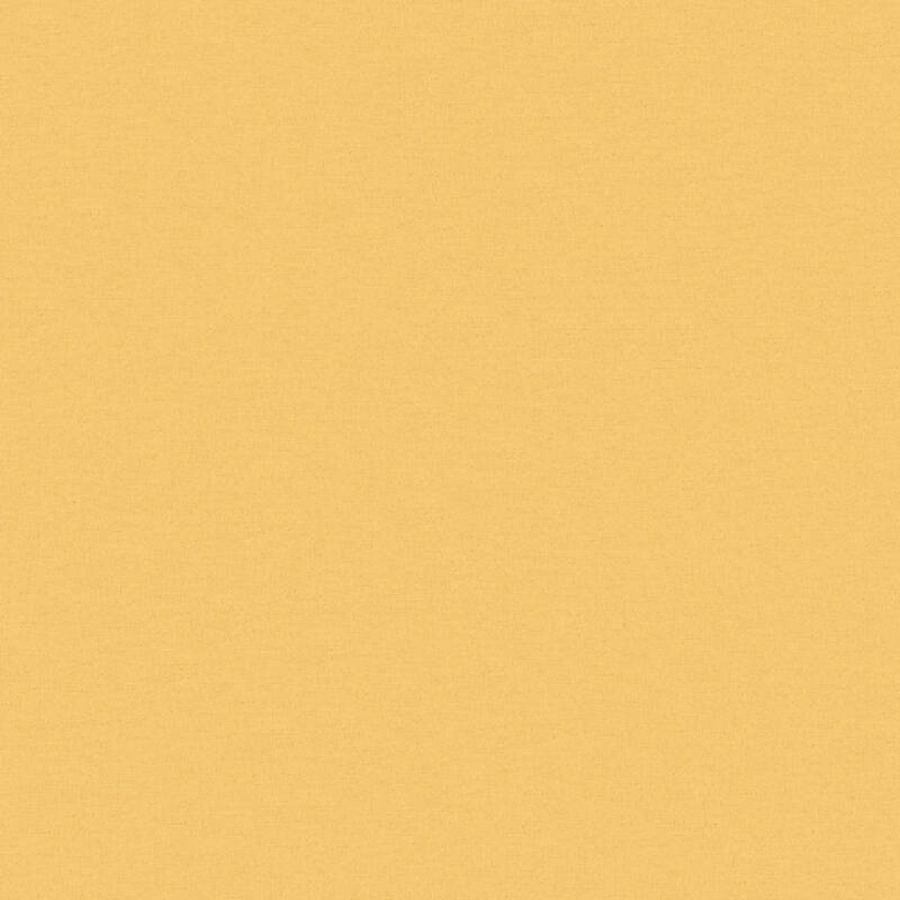 37986-7 Styleguide Colours 2024 Wallpaper by A S Creation