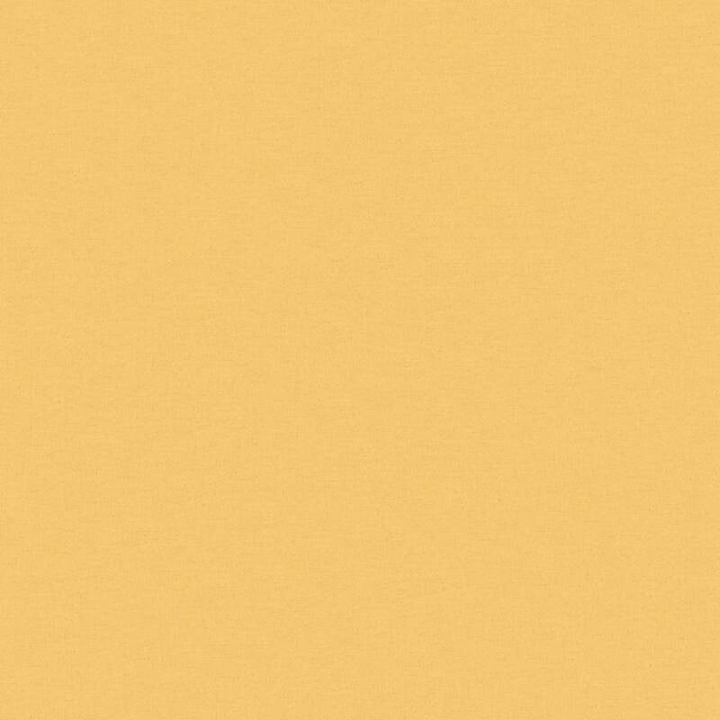 37986-7 Styleguide Colours 2024 Wallpaper by A S Creation