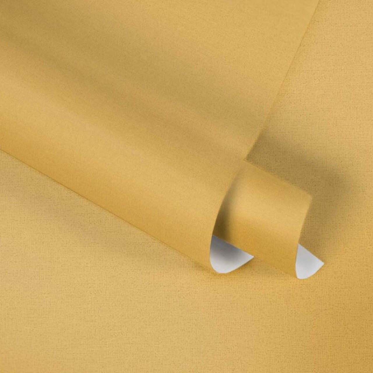 37986-7 Styleguide Colours 2024 Wallpaper by A S Creation