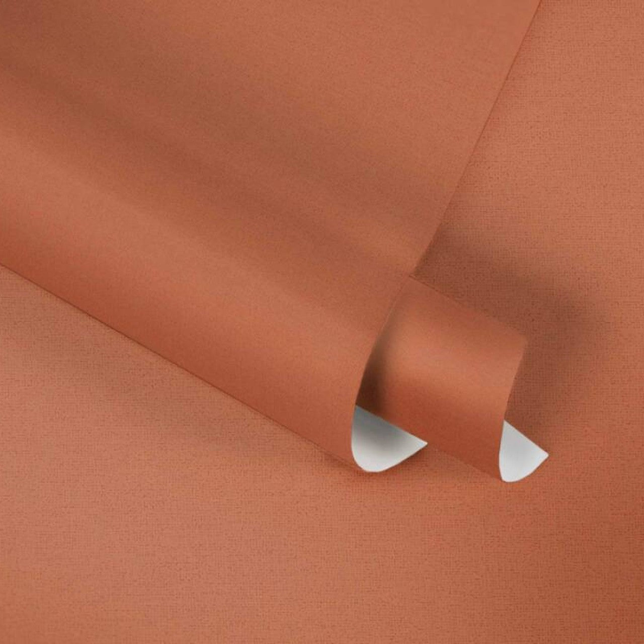 37986-8 Styleguide Colours 2024 Wallpaper by A S Creation