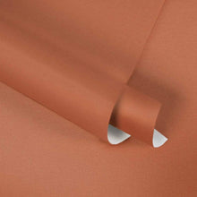 37986-8 Styleguide Colours 2024 Wallpaper by A S Creation