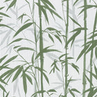 37989-3 Jungle Michalsky Living - Change is Good Wallpaper by A S Creation