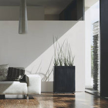 38098-8 Uni Mata Hari - Living Walls Wallpaper by A S Creation