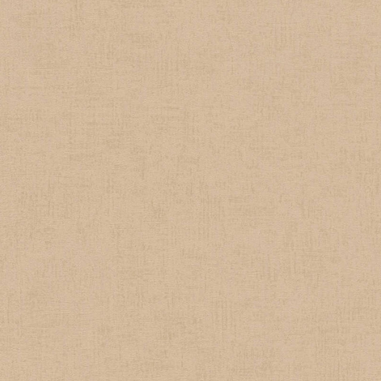 38197-4 Styleguide Colours 2024 Wallpaper by A S Creation