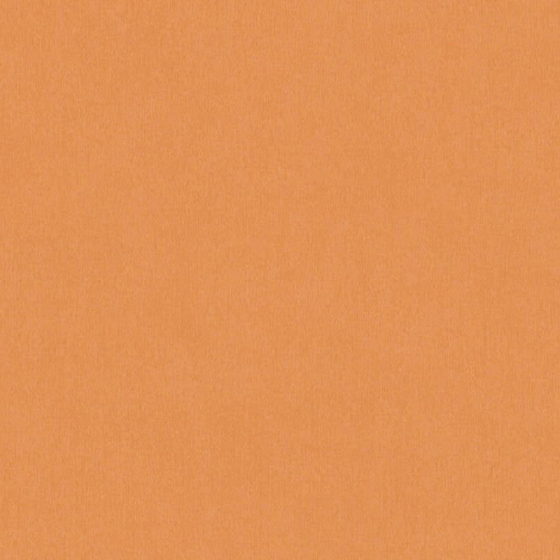 Dream Flowery Wallpaper by A S Creation