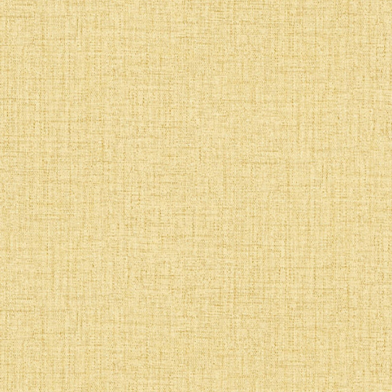 38528-8 Styleguide Colours 2024 Wallpaper by A S Creation