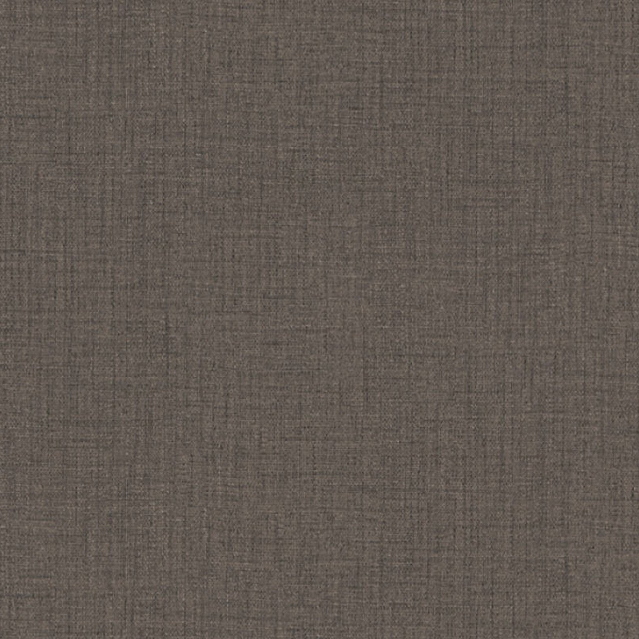 38529-2 Styleguide Colours 2024 Wallpaper by A S Creation