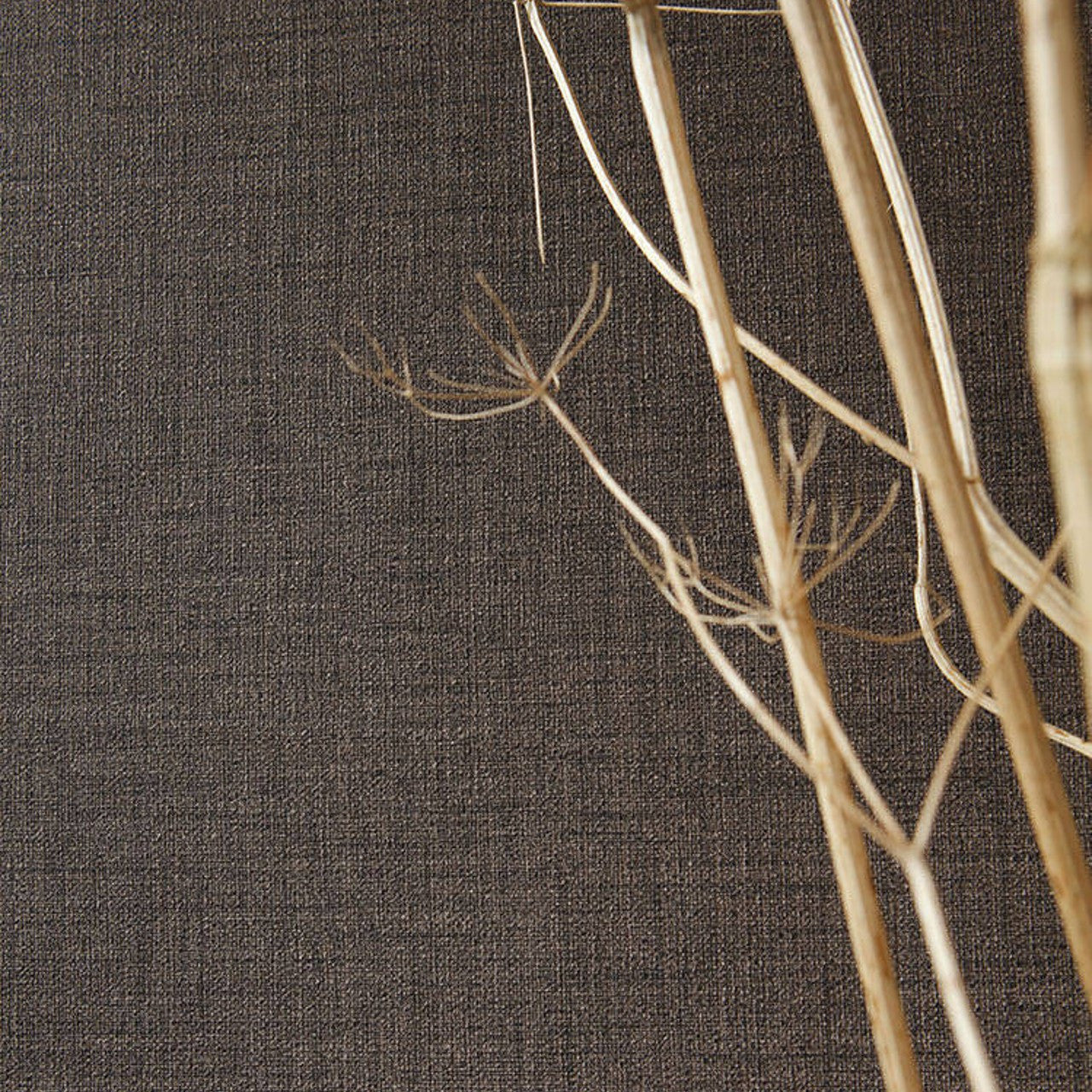 38529-2 Styleguide Colours 2024 Wallpaper by A S Creation