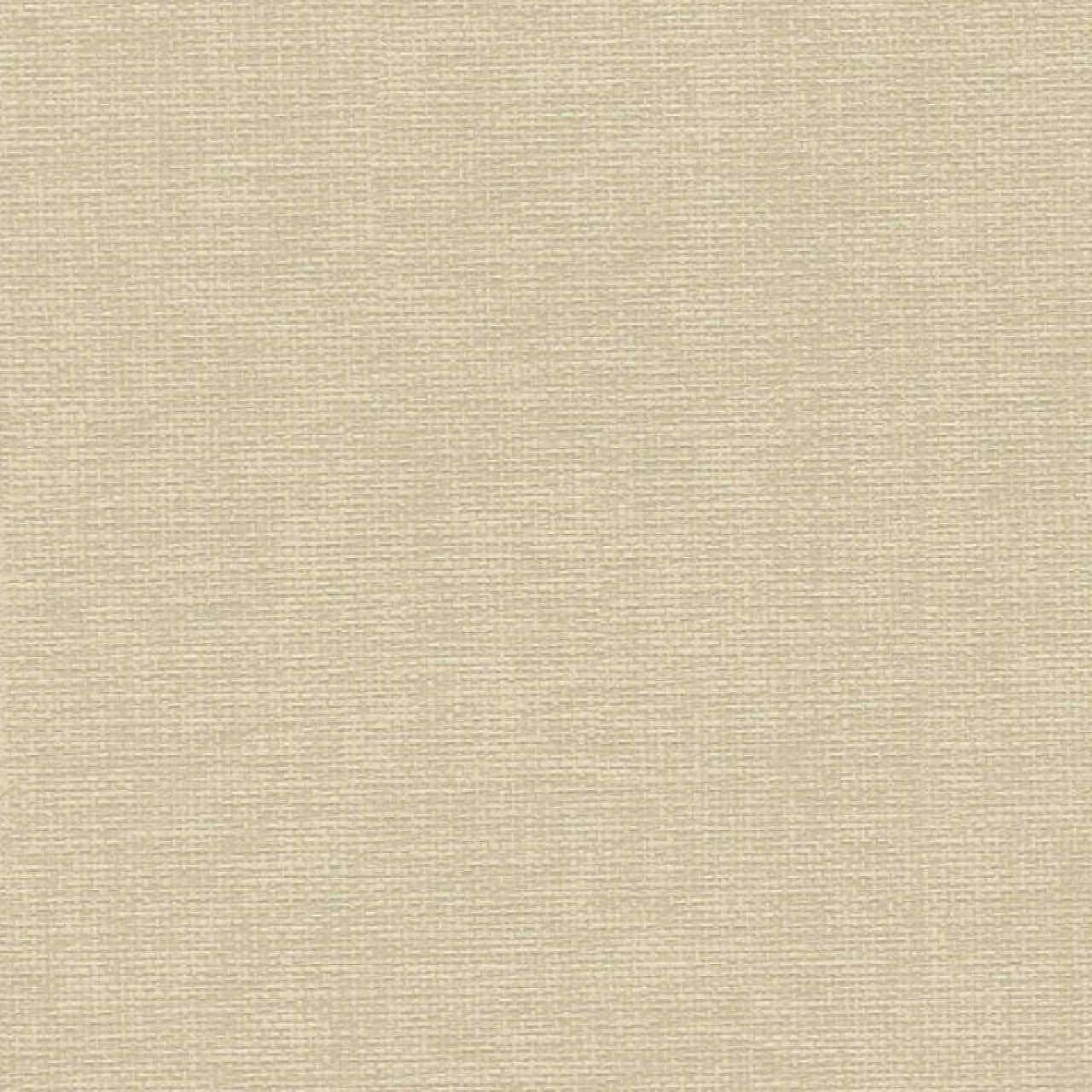 38613-5 Styleguide Colours 2024 Wallpaper by A S Creation