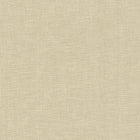 38613-5 Styleguide Colours 2024 Wallpaper by A S Creation