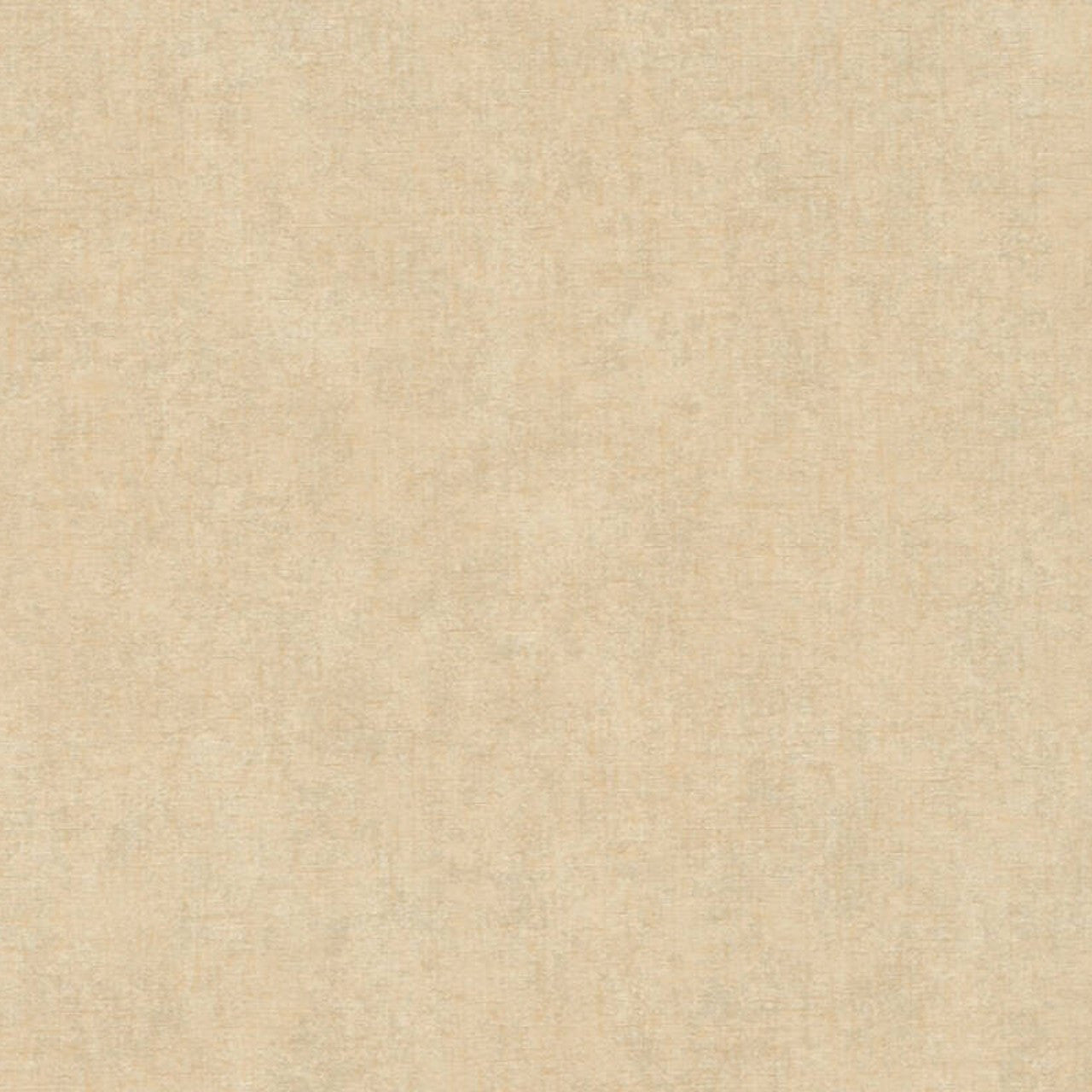 38615-5 Styleguide Colours 2024 Wallpaper by A S Creation