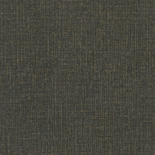 38694-2 Styleguide Colours 2024 Wallpaper by A S Creation