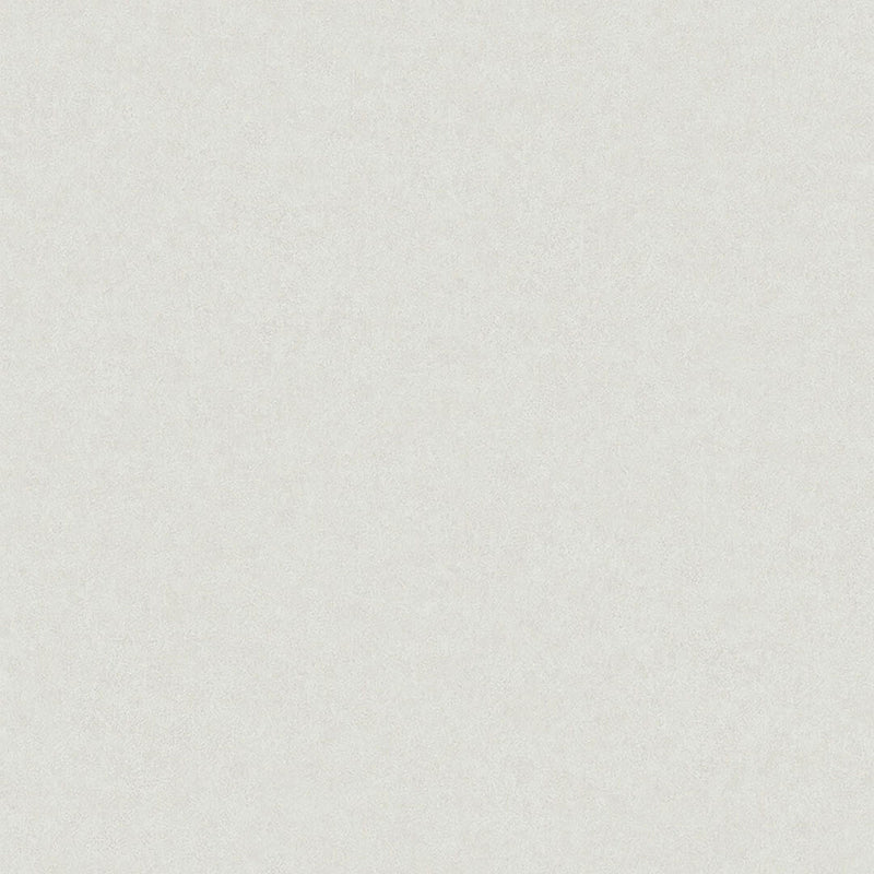 38702 Kim Borosan Bas Light Grey Wallpaper by Borastapeter