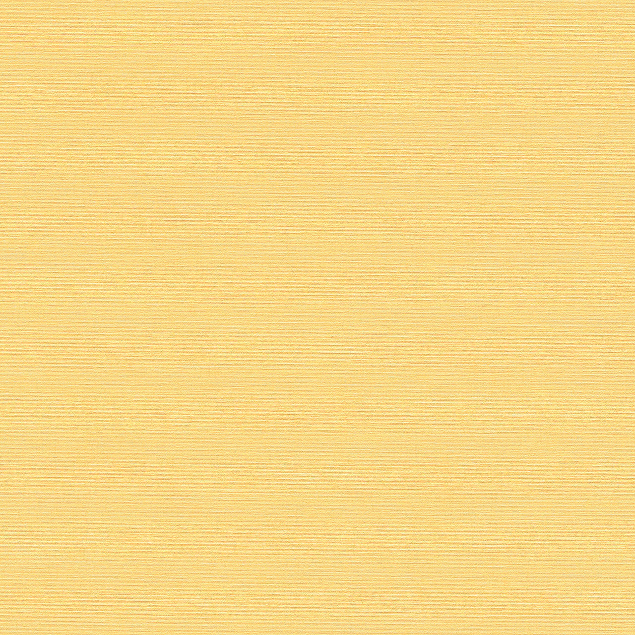 38903-6 PintWalls II Wallpaper by A S Creation