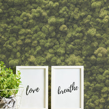 39405-1 PintWalls II Wallpaper by A S Creation